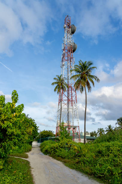istock Communication tower and palm trees on Maafushi island 1091998438