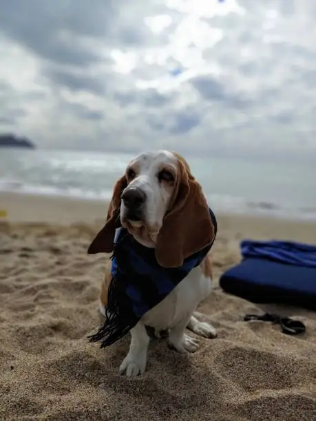 Chilling in the beach