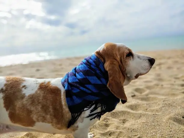 Chilling in the beach