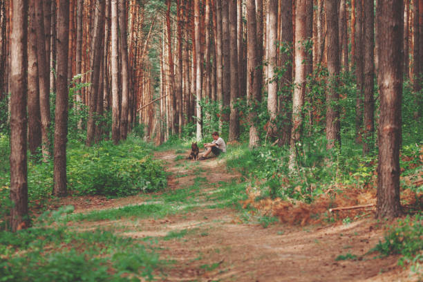 istock Young man sitting with a dog in the summer pine forest 1092000574