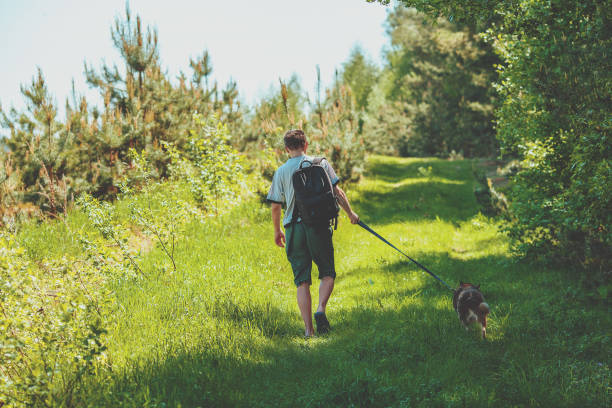 istock Young man walking with a dog in the pine forest in summer 1092000868