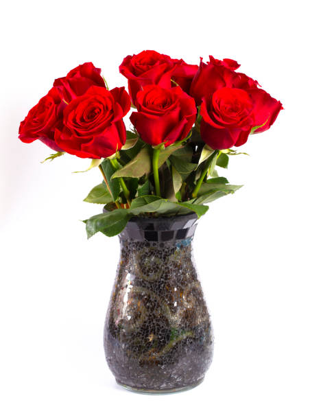 istock A Dozen Red Roses in a Vase Isolated on a White Background 1092007526