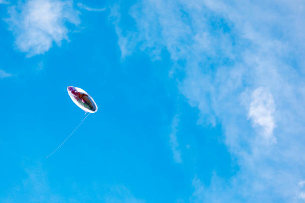 istock balloon toy on the blue sky 1092009296