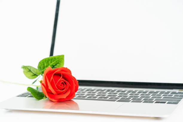 istock Red rose on laptop on white 1092011170