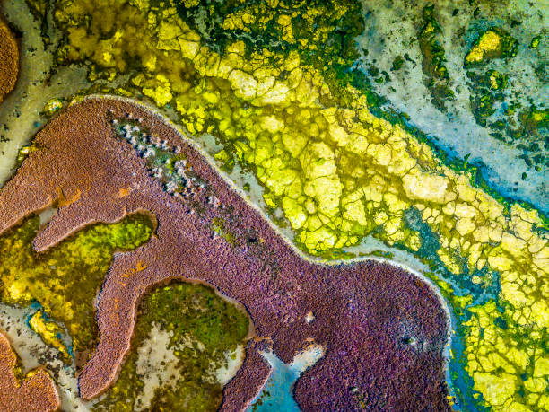istock Patterns and textures of Nangudga Lake 1092025908