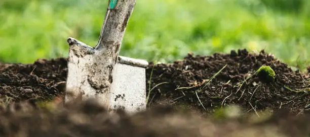 Photo of Header, garden shovel or spade puts into soil, green meadow in the back, low angle shot