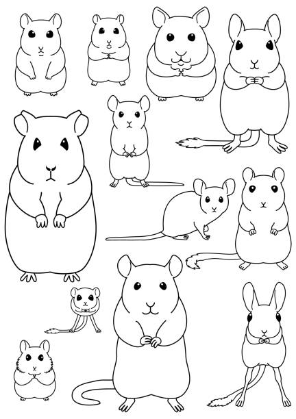 ペット齧歯動物�ライン アートのコレクション - mouse gerbil standing hamster点のイラスト素材／クリップアート素材／マンガ素材／アイコン素材