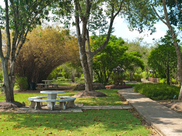 istock Recreation place among nature 1092064334