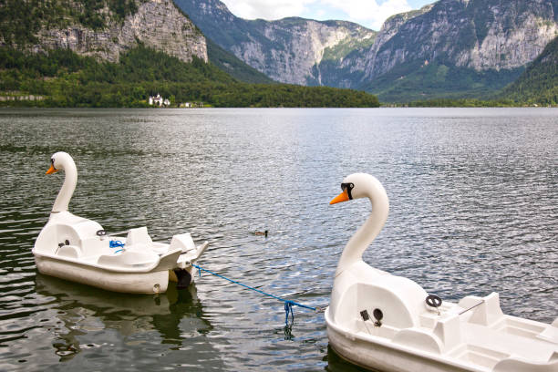 istock Swan pedalos on Hallstatter lake 1092066874