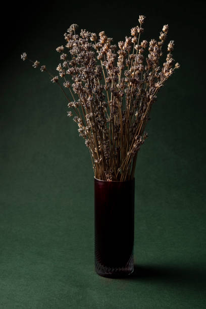 istock Dried lavender bouquet in glass on green background 1092068880