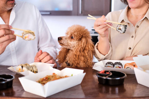 couple enjoy japanese thai meal at home. - 6008 imagens e fotografias de stock