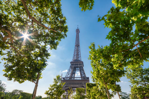 istock Eiffel Tower in Paris under Sunny Summer Sky, France 1092077370