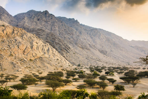 istock Desert sunset near Ras al Khaimah in the UAE 1092077536