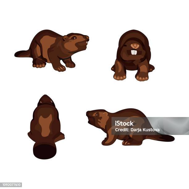 Set Of Beavers Stock Illustration - Download Image Now - Animal, Animal Wildlife, Art