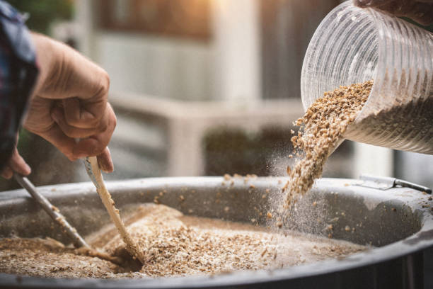 dzień parzenia. produkcja piwa rzemieślniczego w domu - brewery beer barley cereal plant zdjęcia i obrazy z banku zdjęć