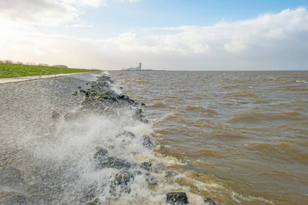 Bicycle parked on a concrete path running along a grassy dike in east frisia, germany, near the north sea. Sheep grazing on the slope