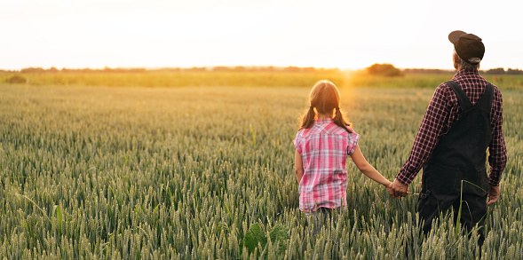 Rear view of senior farmer showing to his granddaughter a wheat field, holding hands.