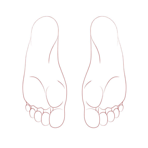podeszwa ludzkiej stopy - human foot reflexology foot massage massaging stock illustrations