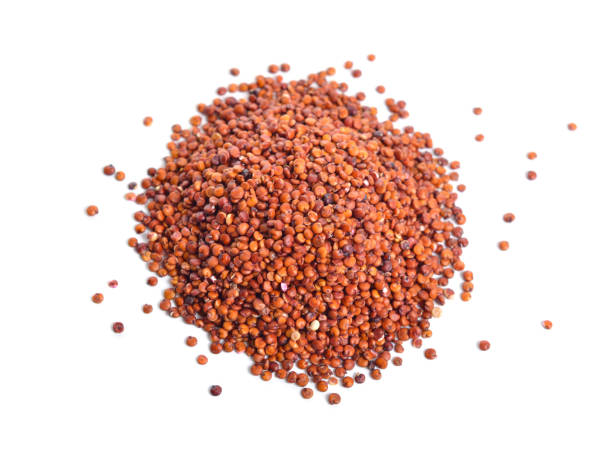istock Red Quinoa or Chenopodium quinoa. Isolated on white background 1092106966