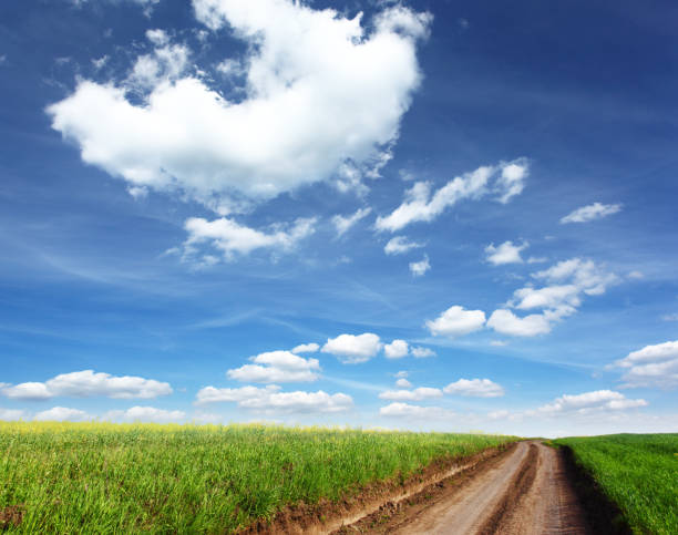 istock Beautiful spring field with a green grass and the beautiful sky 1092109662