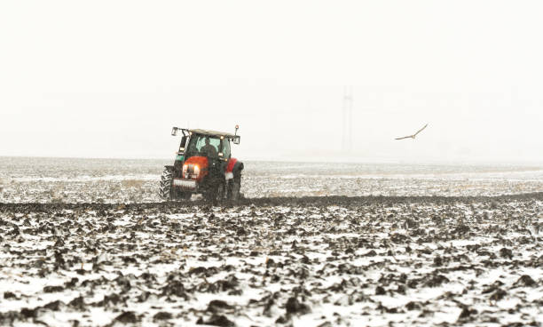 istock Tractor plowing a field in winter 1092109832
