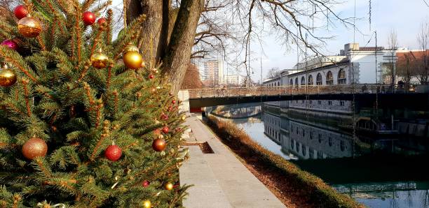 istock Christmas tree at Ljubljania river 1092109920