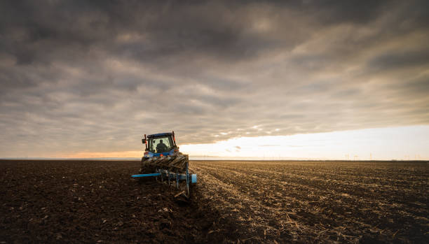 istock Blue tractor Plowing in dusk 1092109960