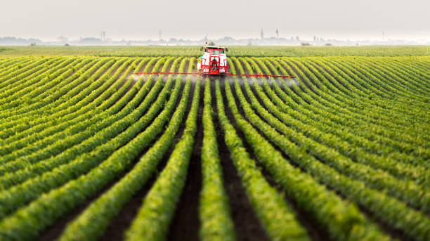 istock Tractor spraying a field of soybean 1092110050