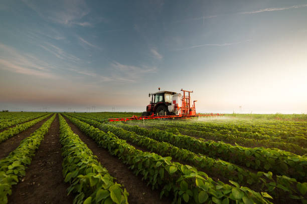 istock Tractor spraying a field of soybean 1092110072