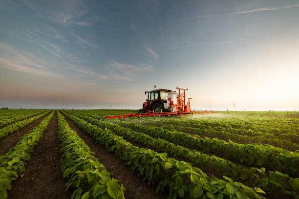 Tractor spraying a field of soybean Tractor spraying a field of soybean agriculture stock pictures, royalty-free photos & images