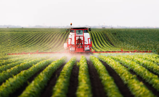 Tractor spraying a field of soybean