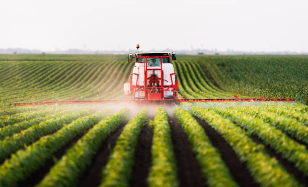 Tractor spraying a field of soybean Tractor spraying a field of soybean agricultural machinery stock pictures, royalty-free photos & images
