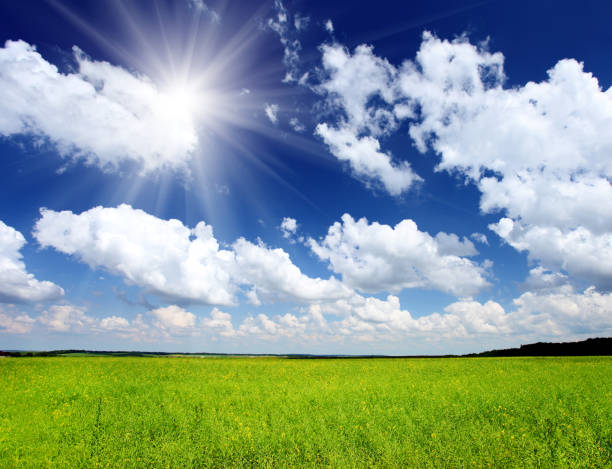istock Beautiful spring field with a green grass and the beautiful sky 1092112062