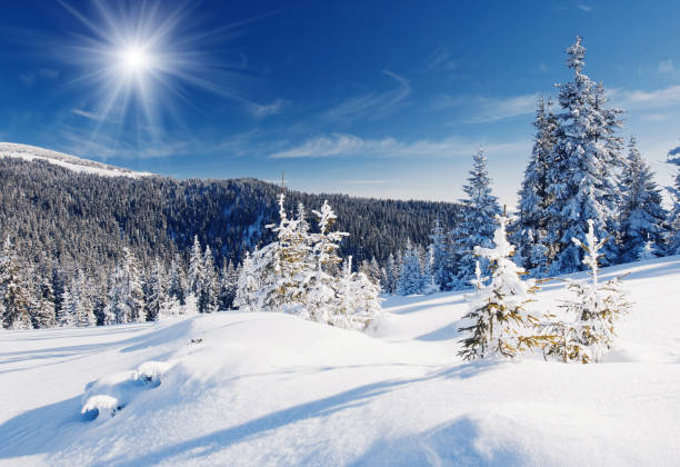 istock Winter trees in mountains covered with fresh snow 1092112074