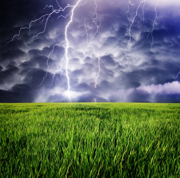 istock Thunderstorm with lightning in green meadow. 1092112944
