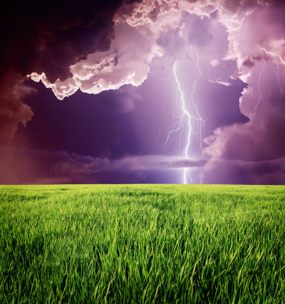 istock Thunderstorm with lightning in green meadow. 1092113064