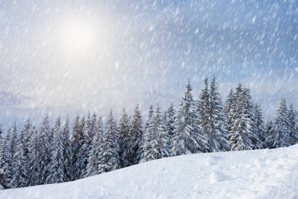 istock Trees covered with hoarfrost and snow in mountains. 1092118354