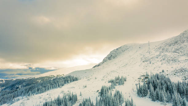 istock Aerial view of snow covered forest at sunset. 1092119432