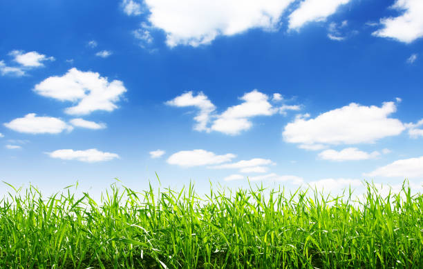 istock spring green field and beautiful blue sky 1092123256