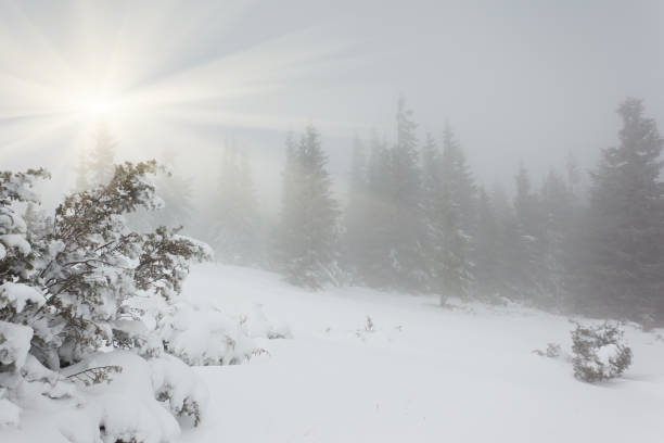istock Beautiful winter landscape with snow covered trees 1092123910