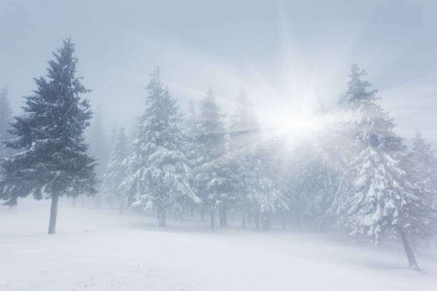 istock Beautiful winter landscape with snow covered trees 1092123990