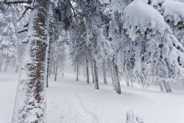 istock Beautiful winter landscape with snow covered trees 1092126258