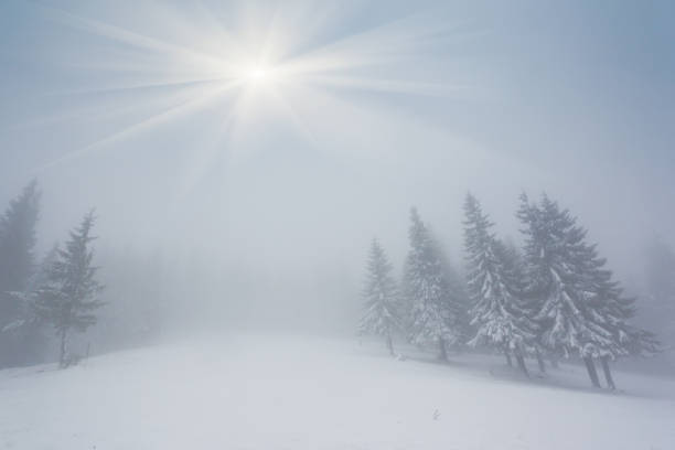 istock Beautiful winter landscape with snow covered trees 1092126460