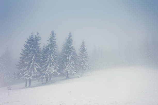 istock Beautiful winter landscape with snow covered trees 1092126490