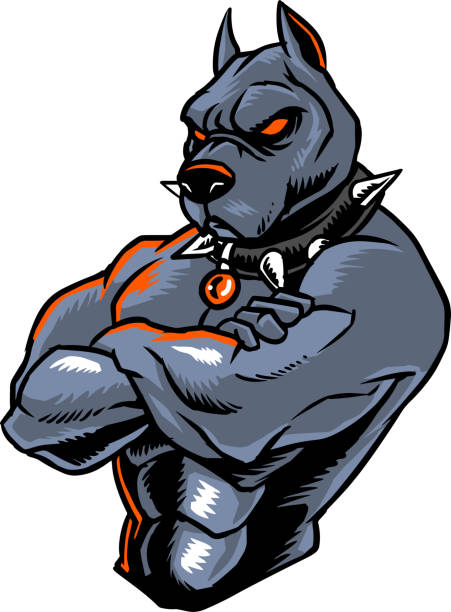Pitbull Fighter The illustration shows a strong pitbull character. He has a muscular body and he wears a spiked collar. He is one of the best fighters. pitbull graphic stock illustrations