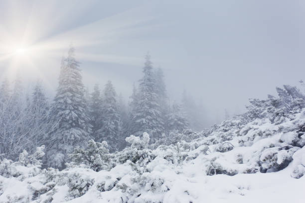 istock Beautiful winter landscape with snow covered trees 1092127020
