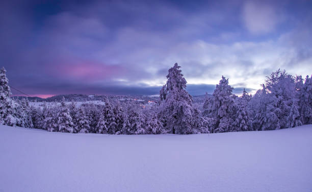 istock Colors of the winter 1092128282