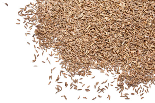 istock Pile of cumin seeds on white background 1092130814