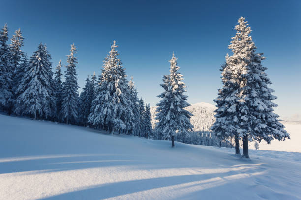 istock Beautiful winter landscape with snow covered trees 1092132962