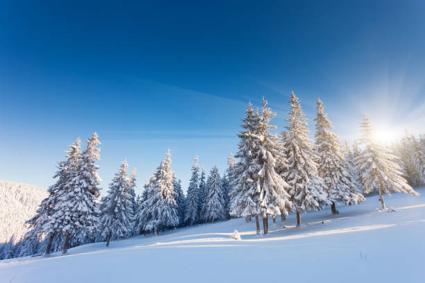 istock Beautiful winter landscape with snow covered trees 1092134614